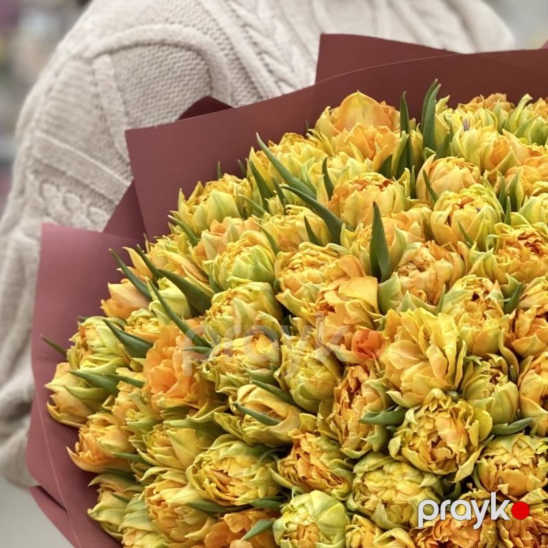 Piona bənzər Tülpan - code:2051 — Bitkilər, Bakı (5)