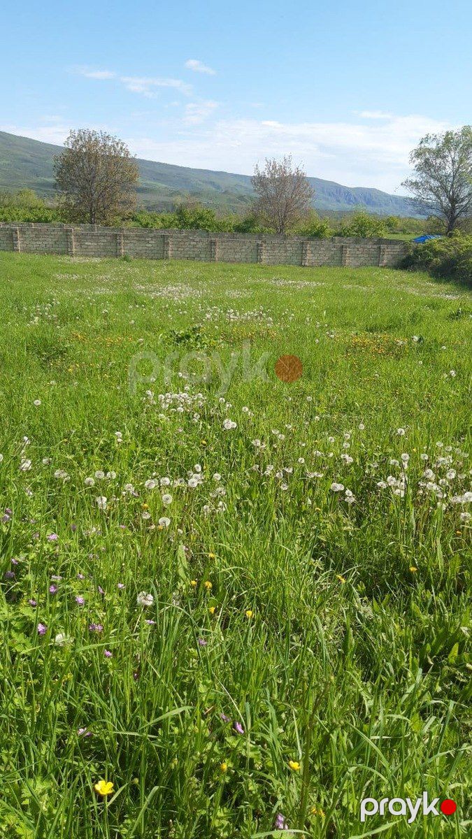 Satılır torpaq 11 sot — Torpaq, Qusar (2)