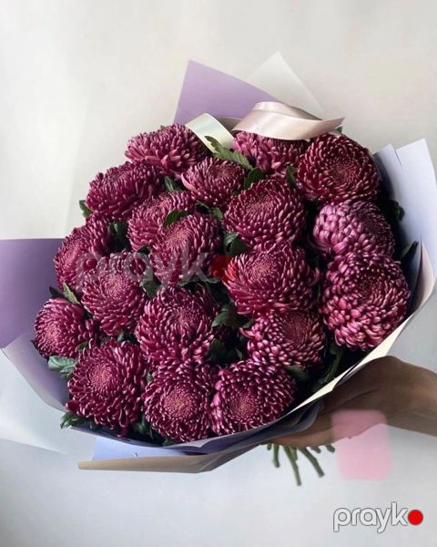 Bordo xrizantema buketi kod: 005