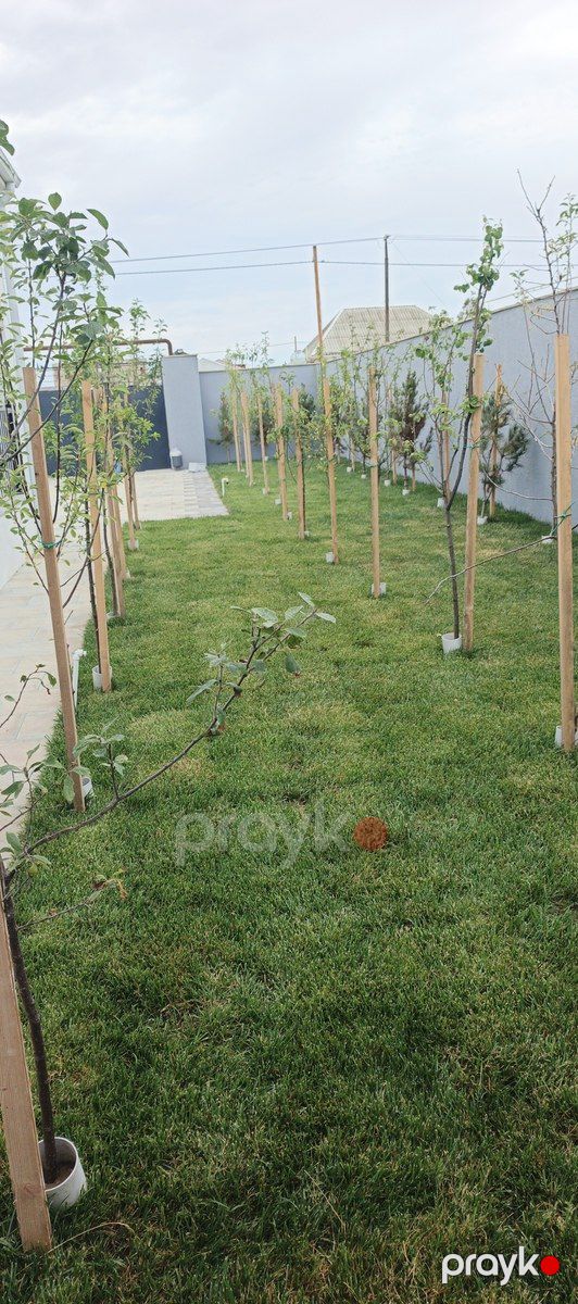 Satılır 4 otaqlı həyət evi/bağ evi 110 m² — Ev, villa, Bakı (12)