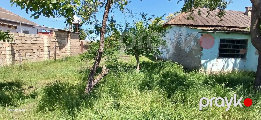 7 sot torpaq sahəsi, Xudat ş — Torpaq, Xudat (10)