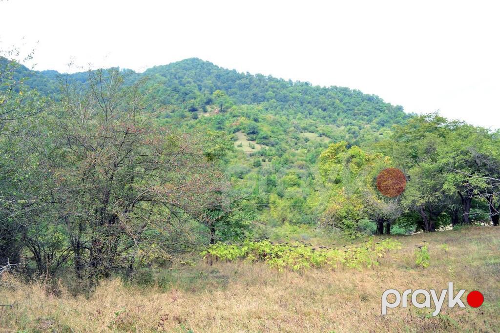 80 sot torpaq sahəsi, Quba r — Torpaq, Quba (4)