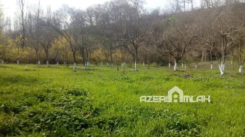 Satılır torpaq sahəsi Quba rayonu Quba rayonu, Qələdüz kəndi — Quba
