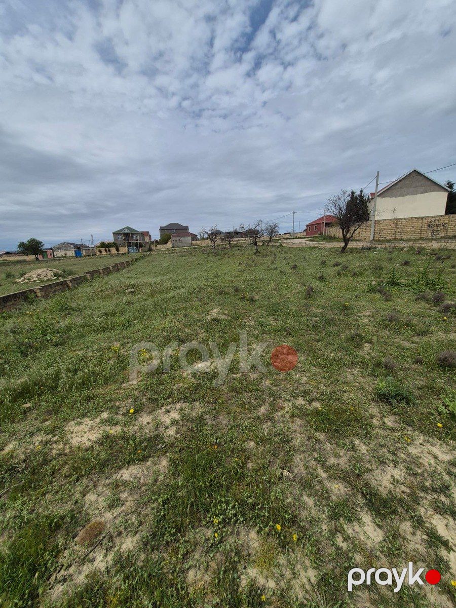 11 sot torpaq sahəsi, Saray qəs — Torpaq, Bakı (8)
