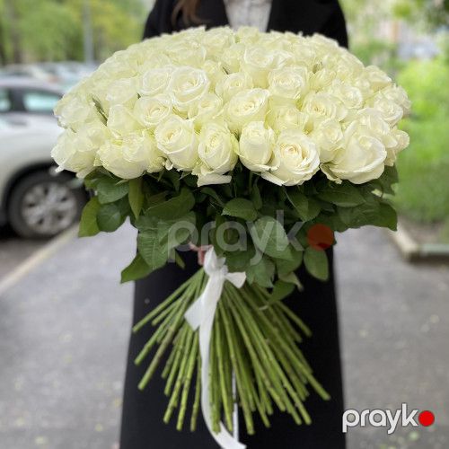 101 ağ qızılgül Premium - kod 4141 — Bitkilər, Bakı (4)