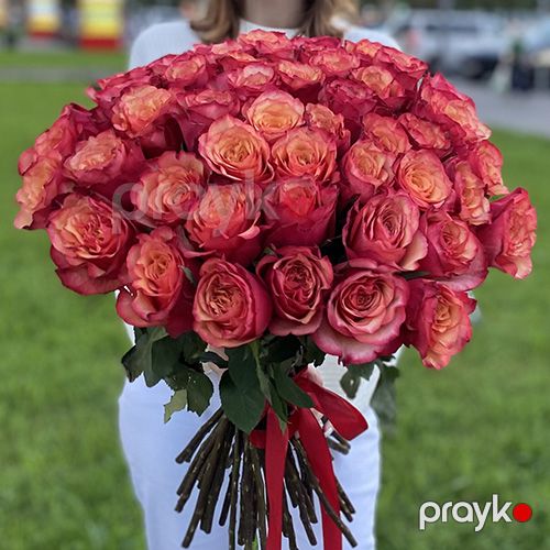 51 qırmızı-sarı qızılgül - kod 6060 — Bitkilər, Bakı (4)