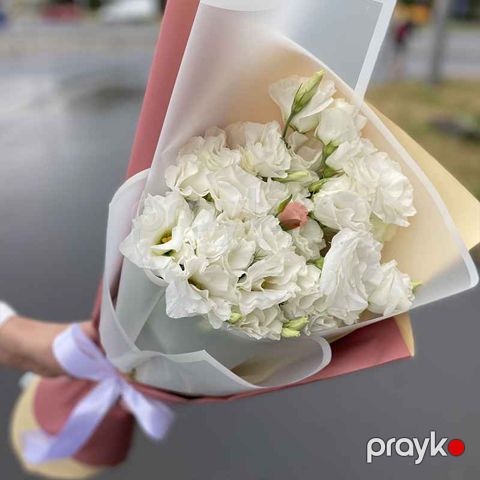 Eustoma - code:2020