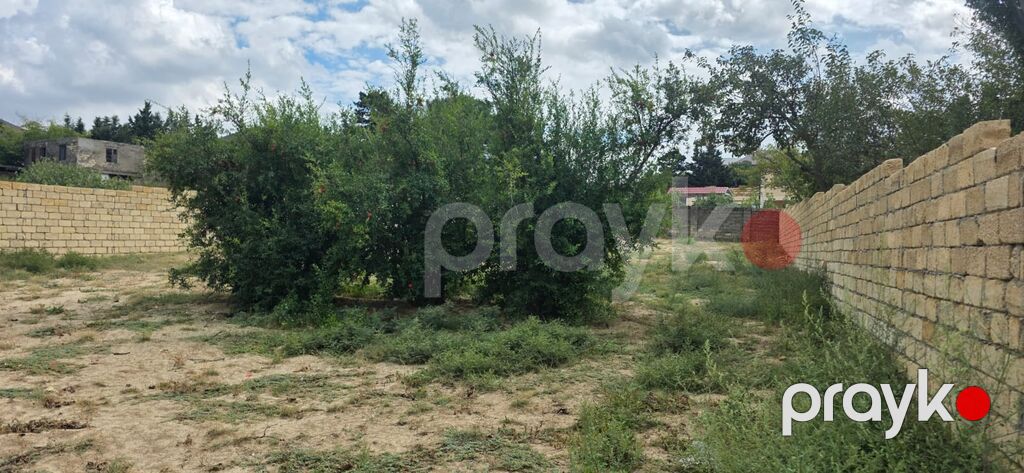 4 sot, Tikinti, Mülkiyyətçi, Kupça (Çıxarış) — Torpaq, Novxanı (3)