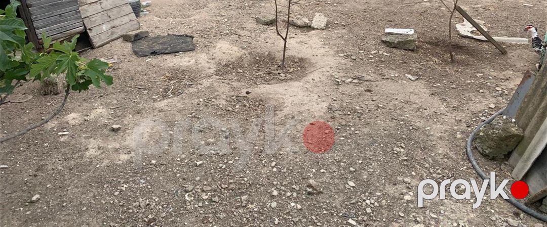Satılır torpaq 3 sot — Torpaq, Bakı (5)