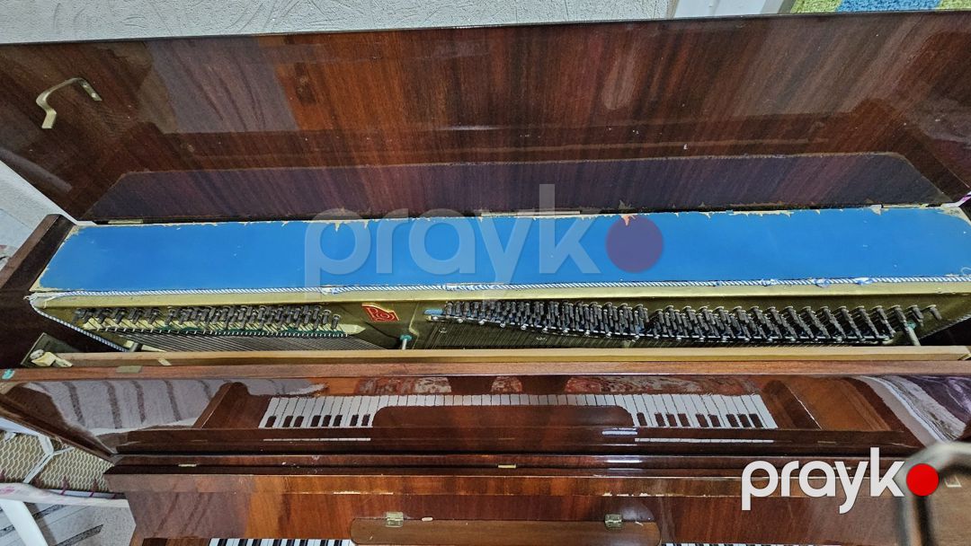 Pianino Kavkaz — Musiqiə alətləri, Salyan (4)