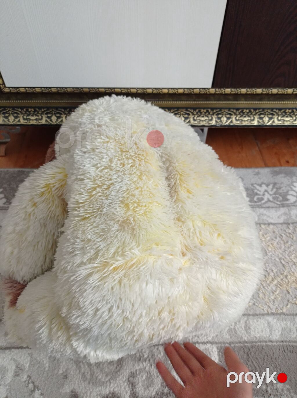 Böyük ölçülü yumşaq oyuncaq ayı - Rəng: krem/açıq bej gövdə, qulaqlar — Yumşaq oyuncaqlar, Bakı (4)