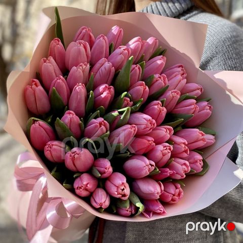 51 Çəhrayı Tülpan - code:2053 — Bakı