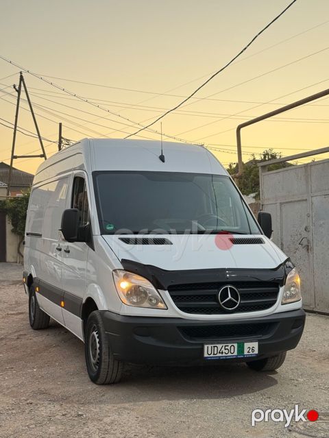 Mercedes-Benz Sprinter: 2.2 l 2007 il Mikroavtobus