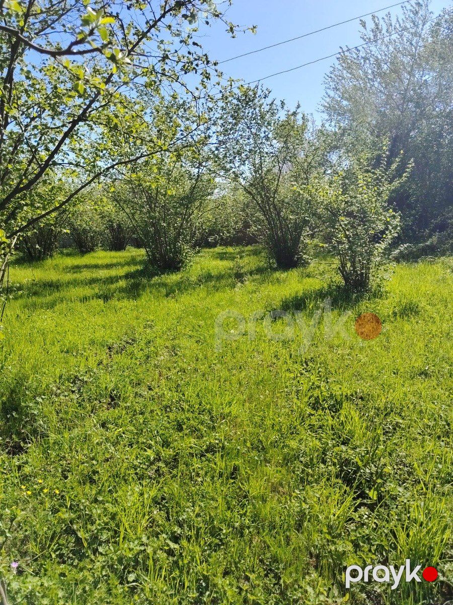 20 sot torpaq sahəsi, Qəbələ r — Torpaq, Qəbələ (4)