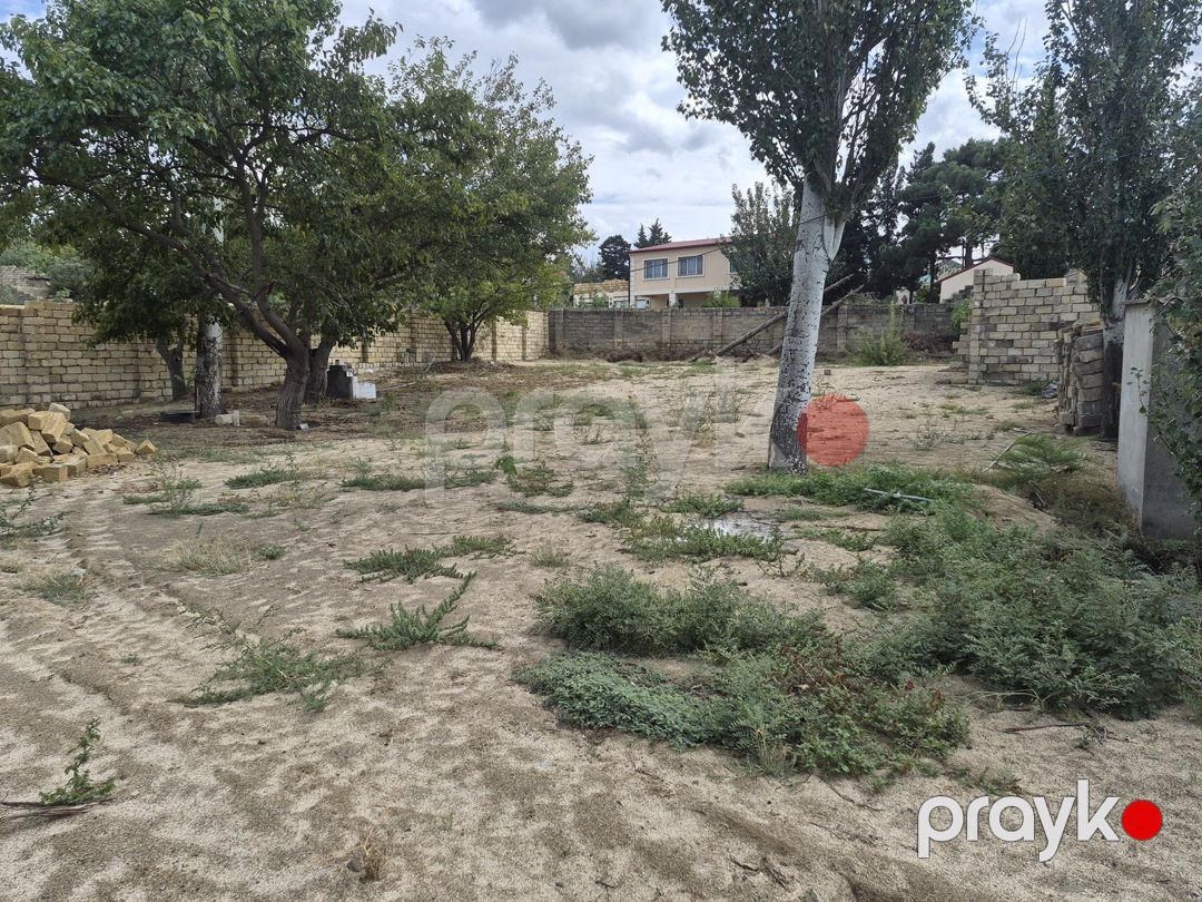 Satılır torpaq 4 sot — Torpaq, Sumqayıt (7)
