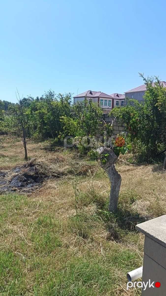 Satılır torpaq 5 sot — Torpaq, Bakı (4)