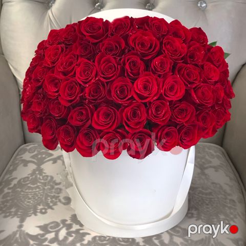 101 Qızılgül - code:5049