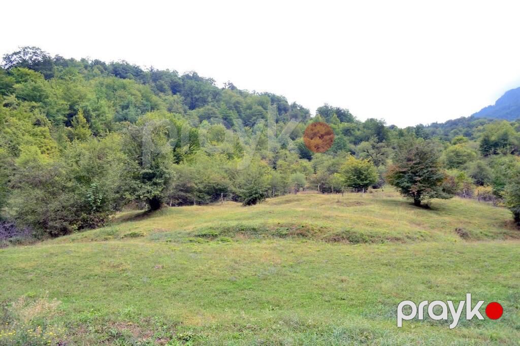 80 sot torpaq sahəsi, Quba r — Torpaq, Quba (5)