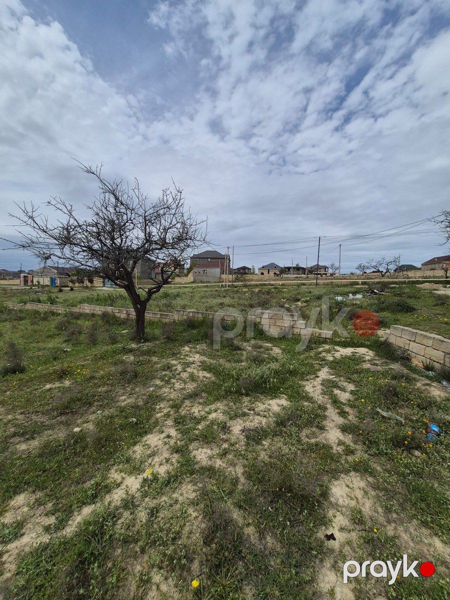 11 sot torpaq sahəsi, Saray qəs — Torpaq, Bakı (7)