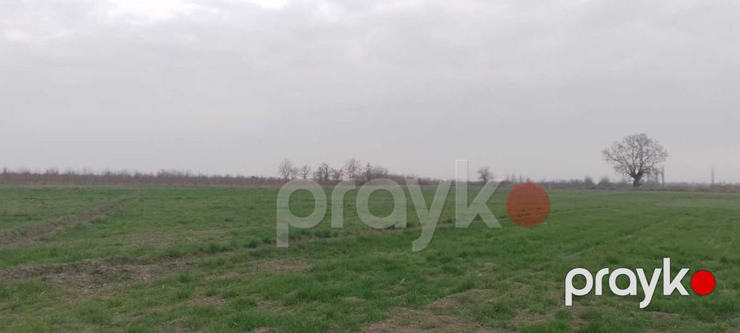 Satılır torpaq 440 sot — Torpaq, Xaçmaz (7)