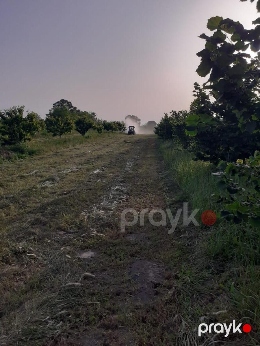 223.4 sot torpaq sahəsi, Qusar r — Torpaq, Qusar (11)