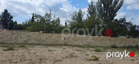4 sot, Tikinti, Mülkiyyətçi, Kupça (Çıxarış) — Novxanı