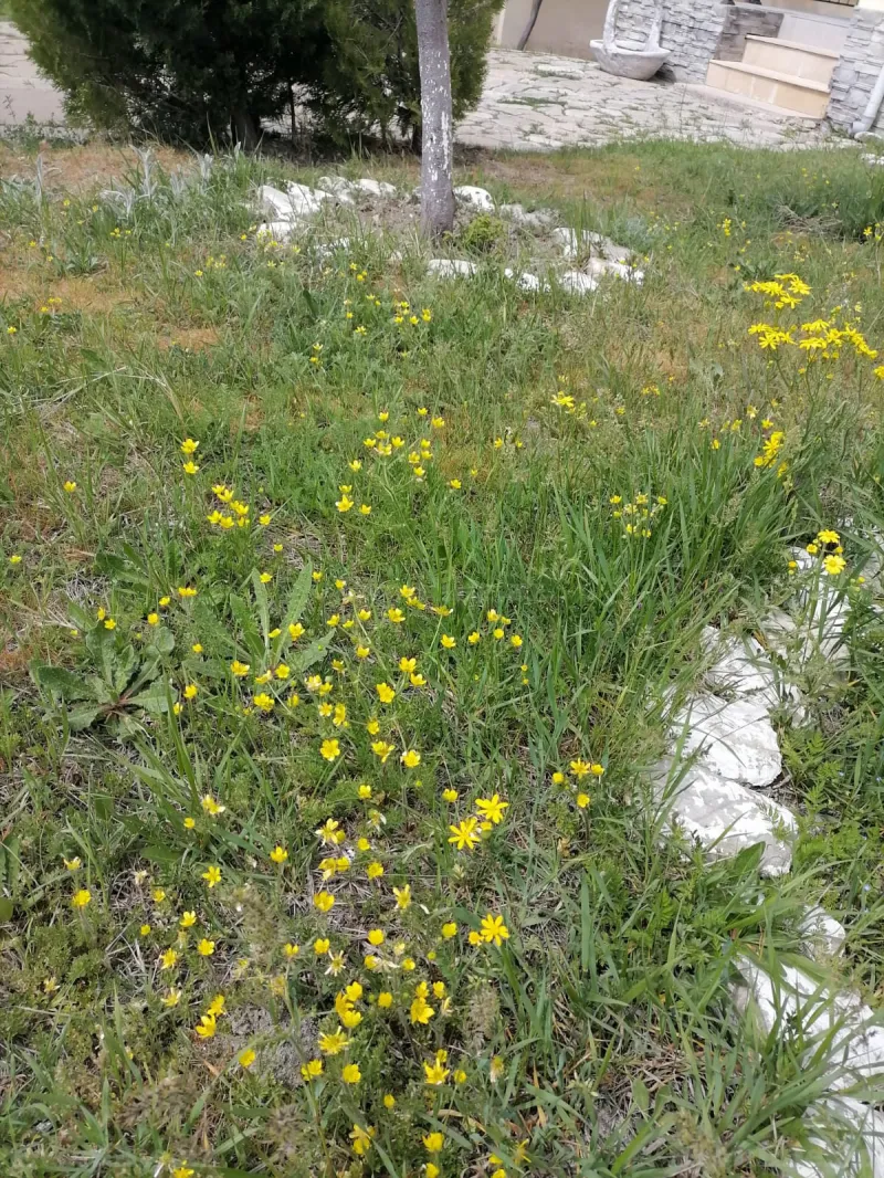 Satılır 8 otaqlı Həyət evi 204 m² Xızı — Ev, villa, Xızı (8)