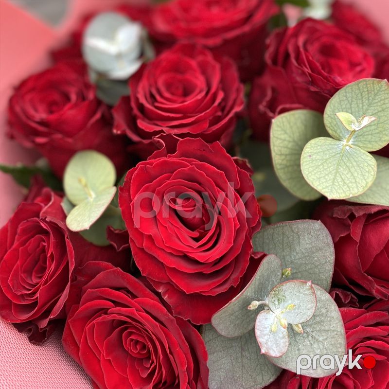 15 Qırmızı Qızılgül - code:5072 — Bitkilər, Bakı (3)