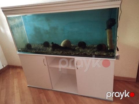 Akvarium 500L — Bakı