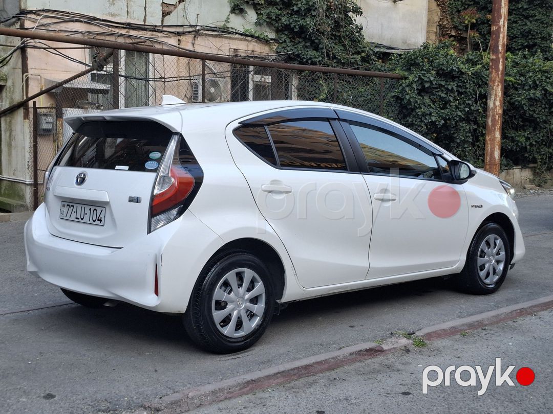 Toyota, Honda icarəsi — Avtomobil icarəsi, Bakı (4)