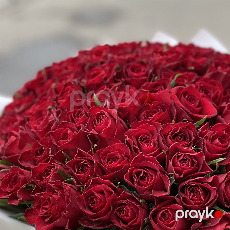 101 Qızılgül - code:5010 — Bitkilər, Bakı (2)