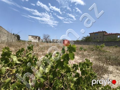 24 sot Torpaq, Satış, Bakı, Sabunçu — Bakı