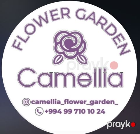 Camellia Flower Garden