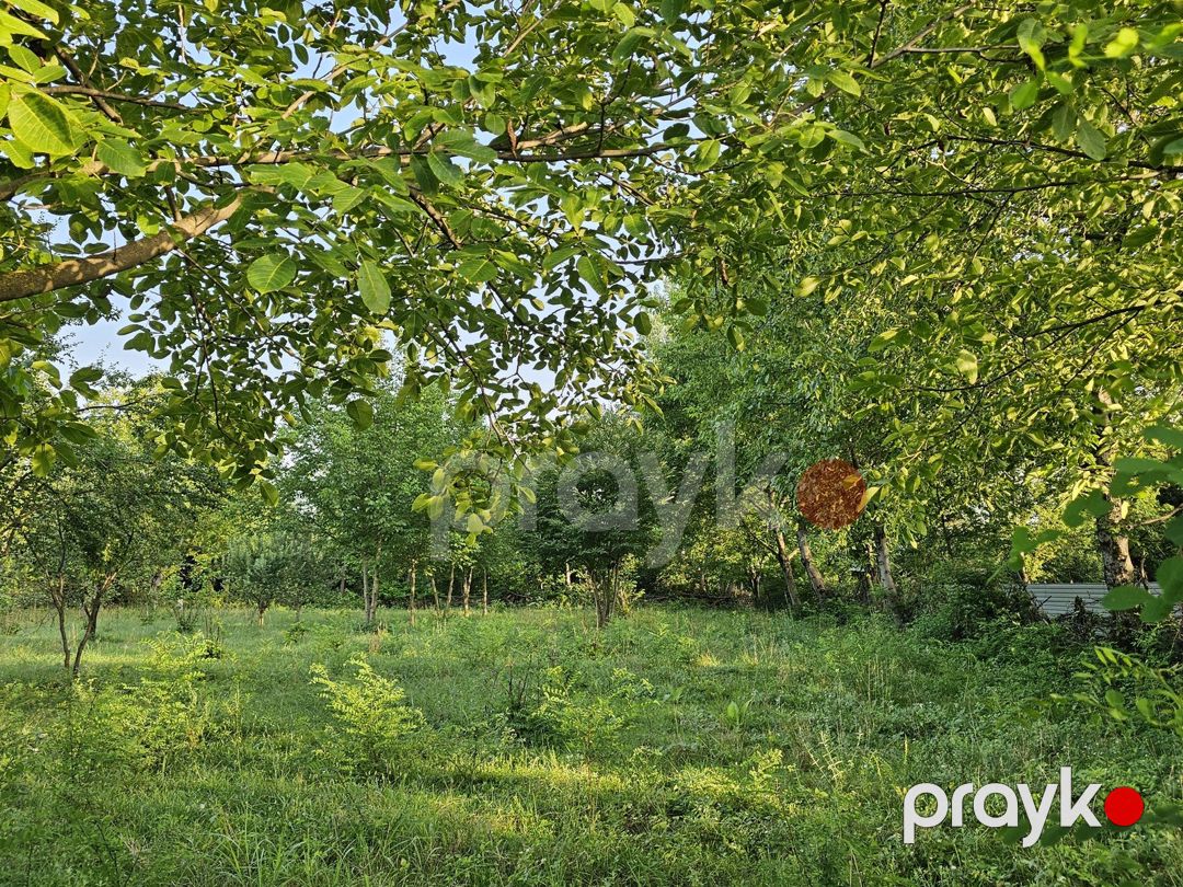 Satılır torpaq 32 sot — Torpaq, Qəbələ (5)