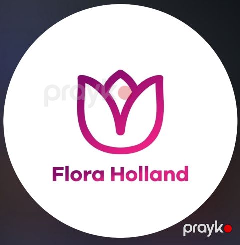 Flora Holland — Sumqayıt