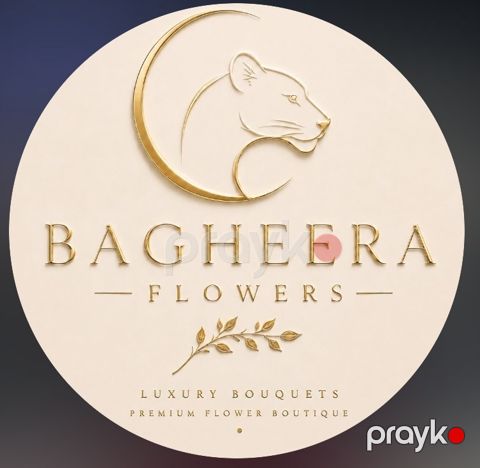 Bagheera.Az — Bakı
