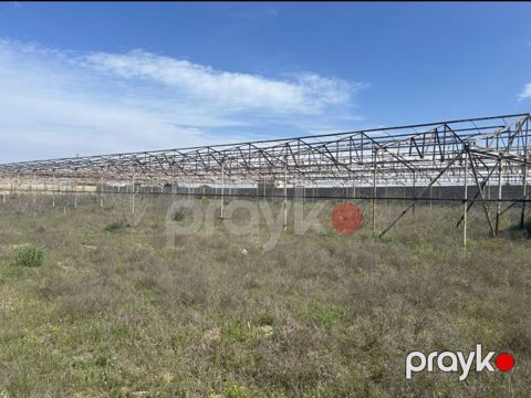 65 sot, Tikinti, Mülkiyyətçi, Kupça (Çıxarış) — Digah