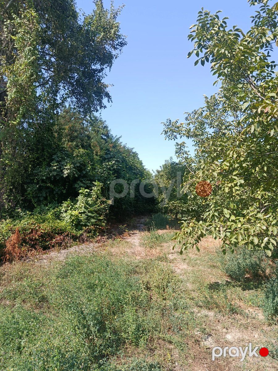 Satılır torpaq 181 sot — Torpaq, Göyçay (10)