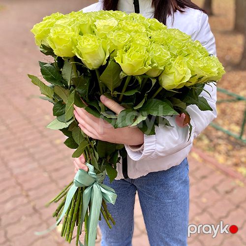 51 qızılgül yaşıl - kod 5555 — Bitkilər, Bakı (4)