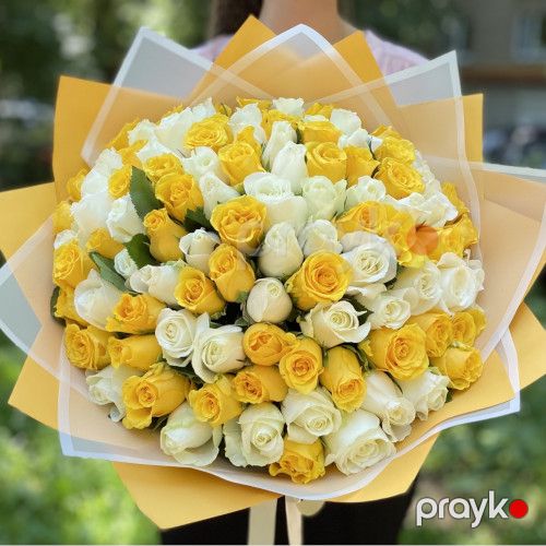 101 sarı və ağ qızılgül - kod 7474 — Bitkilər, Bakı (4)