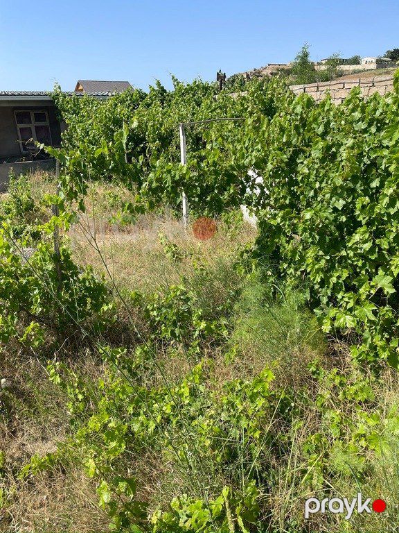 Satılır torpaq 12 sot — Torpaq, Bakı (4)