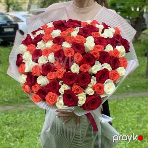 101 qızılgül parlaq qarışıq - kod 7171 — Bitkilər, Bakı (5)