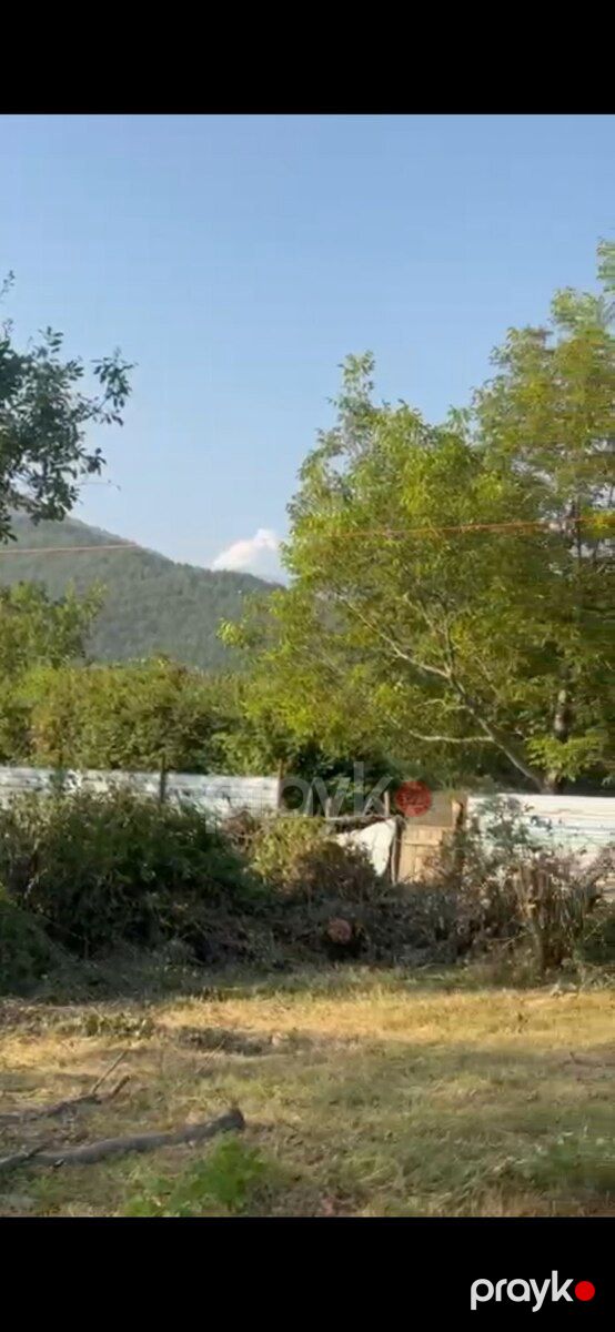 6 sot torpaq sahəsi, Qəbələ r — Torpaq, Qəbələ (7)