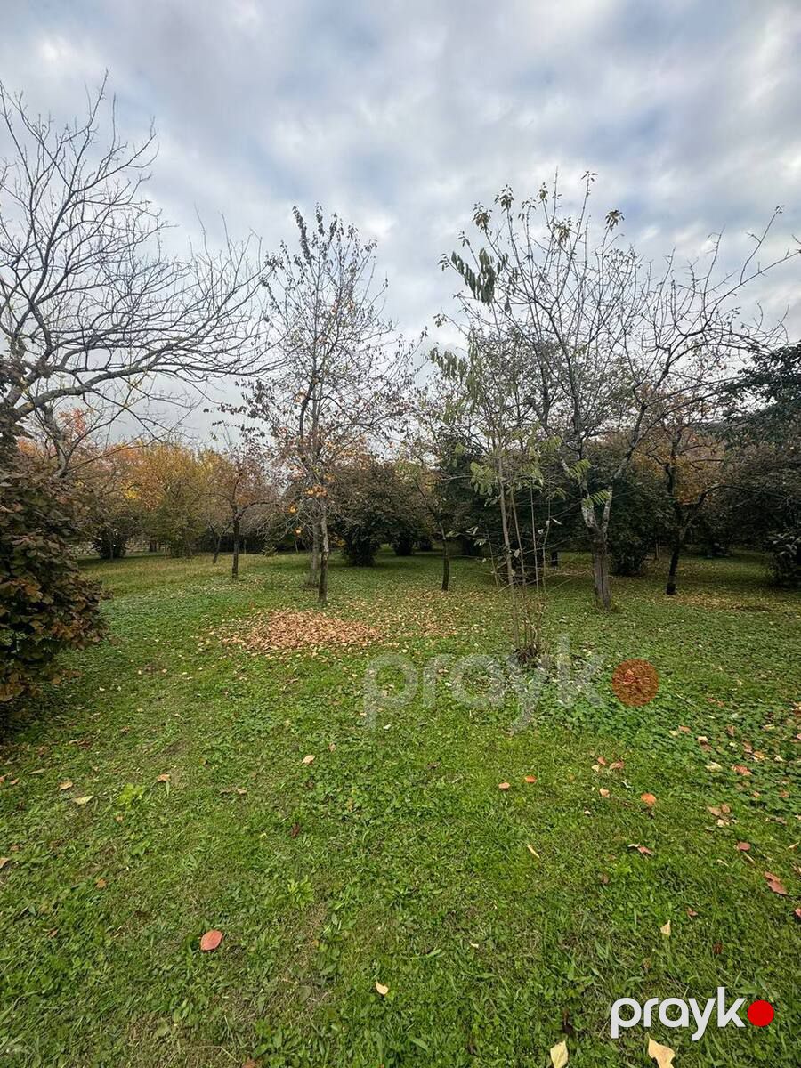 Satılır torpaq 30 sot — Torpaq, Zaqatala (2)