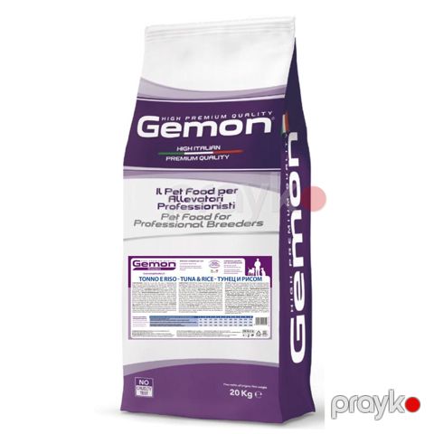 Gemon dog — Bakı