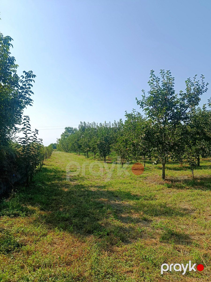 Satılır torpaq 181 sot — Torpaq, Göyçay (2)