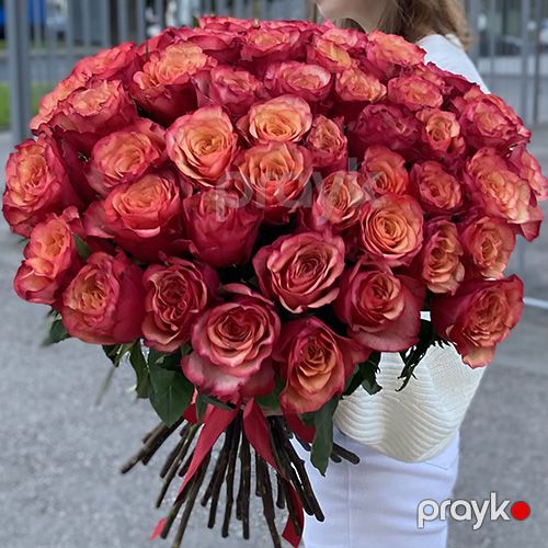 51 qırmızı-sarı qızılgül - kod 6060 — Bitkilər, Bakı (3)