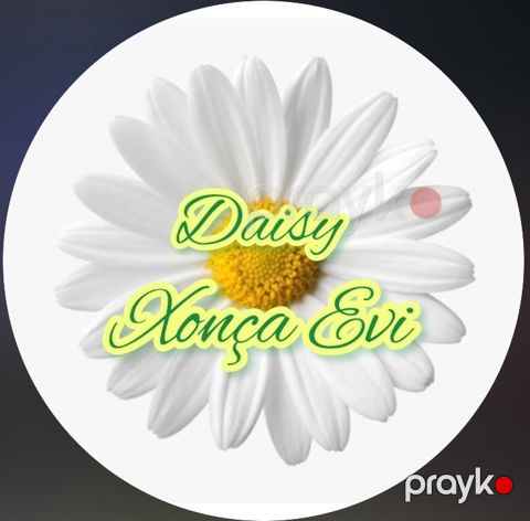 Daisy Xonça Evi