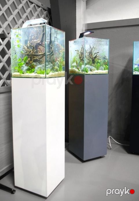 Akvarium — Sumqayıt