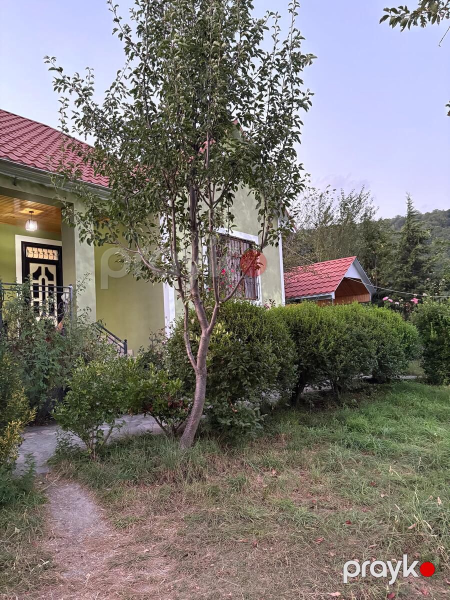 İcarəyə verilir 3 otaqlı həyət evi/bağ evi 100 m² — Ev, villa, İsmayıllı (8)